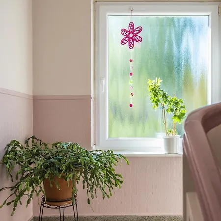 아파트 Kombi-wohnung Bochum-riemke *